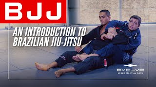 BJJ | An Introduction To Brazilian Jiu Jitsu (BJJ)