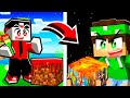 HO COLORATO TUTTO IL MONDO di MINECRAFT!