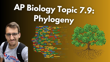 (2019 curriculum) 7.9 Phylogeny - AP Biology