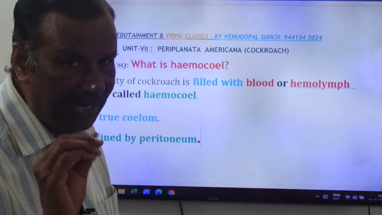 285:HAEMOCOEL -Definition:VSQ:JRs: Unit-VII: Periplanata americana-Cockroach.