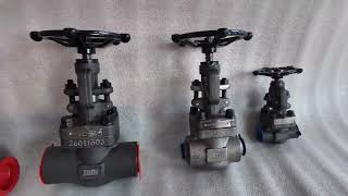 JUDU Small Size Forged Steel Globe Valves Showcase