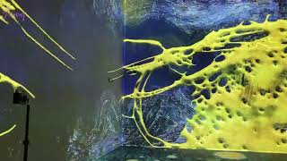 Van Gogh: The Immersive Experience - Washington, D.C.
