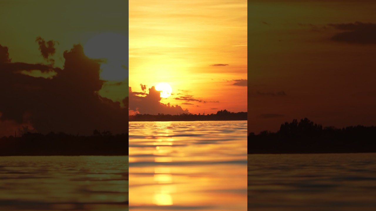 Florida a beautiful place 