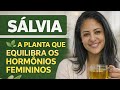 🌿Sálvia regula hormônio?Beneficios reais para TPM, Menopausa e Saúde feminina