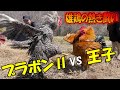 総勢８羽のオス鶏が大集合！優しい王子もついに怒る･･？！