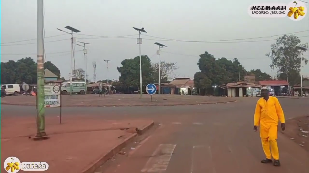 bienvenue à counsitel préfecture de gaoual ❤️💛💚🇬🇳👌 abonné vous s'il-vous-plaît partager aussi
