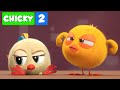 Onde está Chicky? TEMPORADA 2 | O BANHO CHICKY | Desenhos Animados Infantil