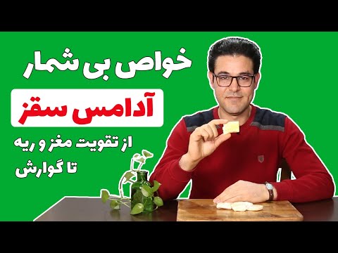 سقز سقز کردستان خواص سقز آدامس سقز تقویت حافظه با سقز درمان خلط پشت حلق با سقز