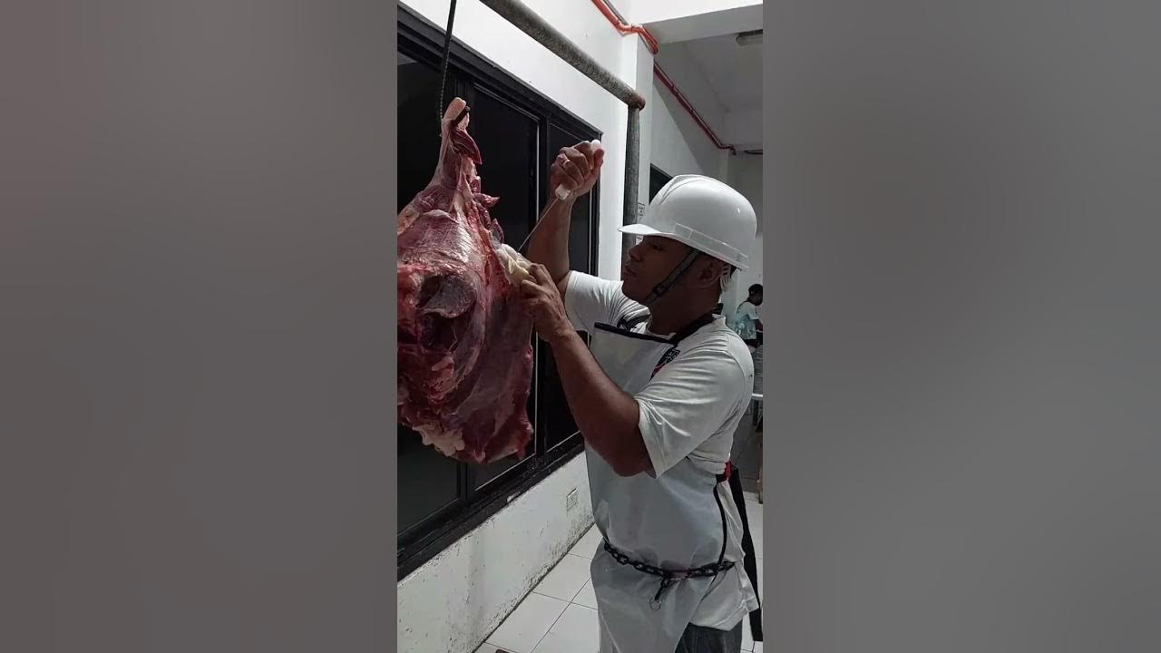 Beef Hind Deboning Procedure YouTube