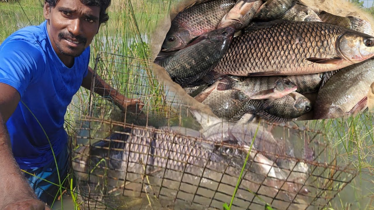 🎣🐟చెరువులో చేపలు పట్టడానికి నేను పడుతున్న కష్టాలు లాస్ట్ కి మామ బోనులో దొరికిన పెద్ద చేప😊| Fishing