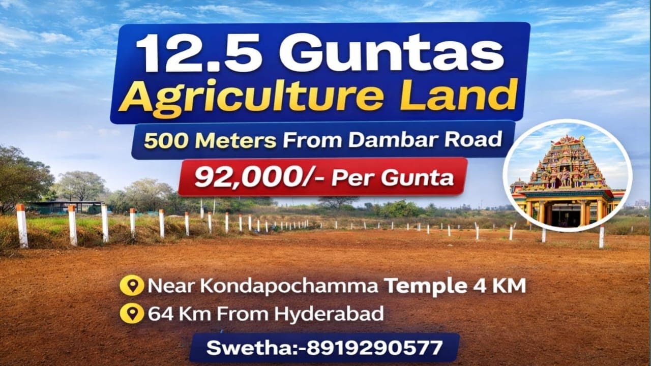 Swetha:8919290577||Near gajwel||92,000/- per Gunta||12.5 Guntas Agriculture land sale #farming #yt