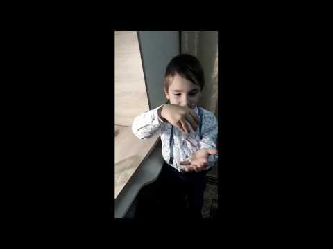 Проект 'Юные исследователи неживой природы'