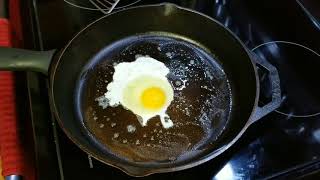 Egg Test On My Freshly Seasoned Lodge Cast Iron Skillet