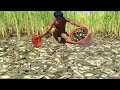 OMG!!! Awesome Boy Search & Catfish In Dry Soil - Unique Fishing Videos Dry Season 2021