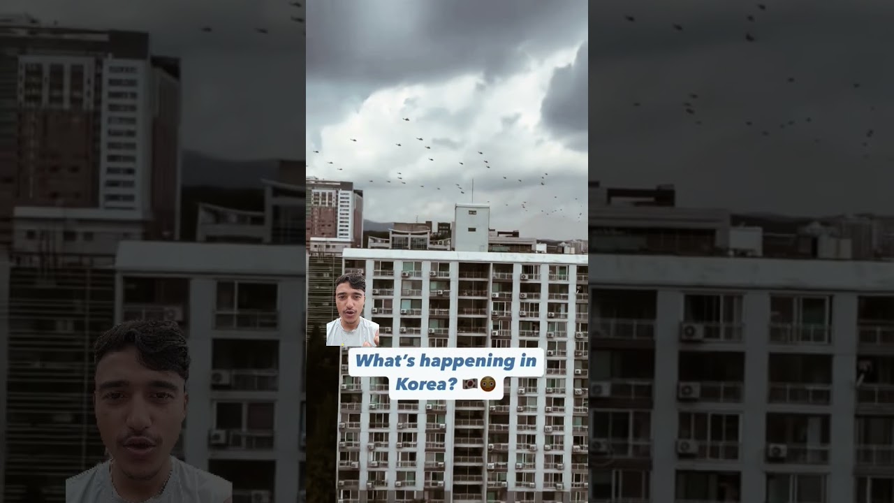 South Korea - Helicopters Flying Training Missions || 