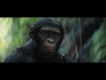 Kingdom of the planet of the apes trailer