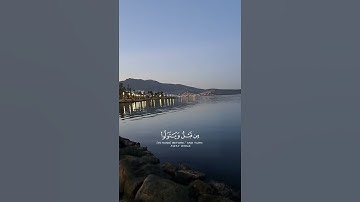 سورة التوبة (50-51)