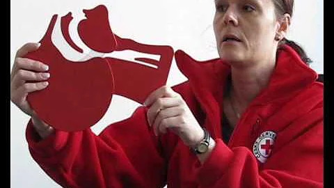 Co je Mezinárodní červený kříž?