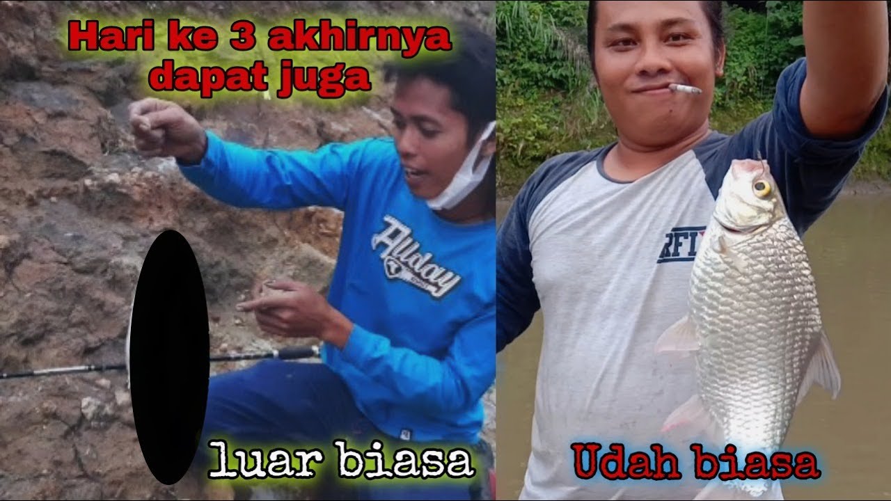 rejeki mancing ikan tawes di sungai air keruh pakai umpan andalan saat