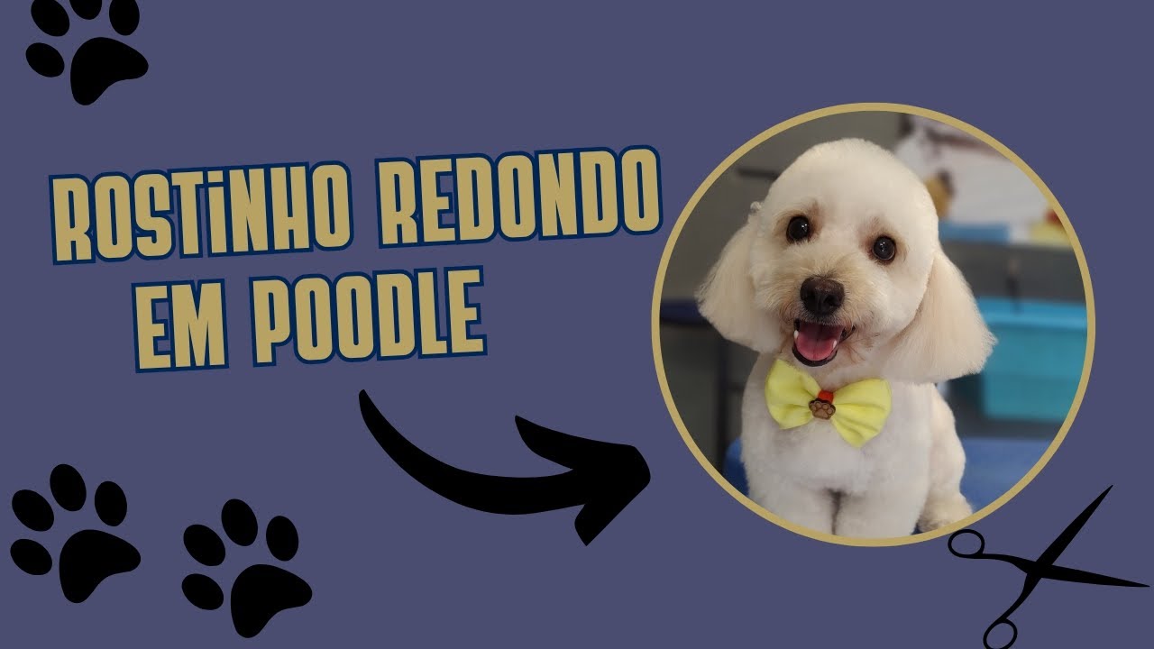 Rostinho Redondo em poodle 🐩