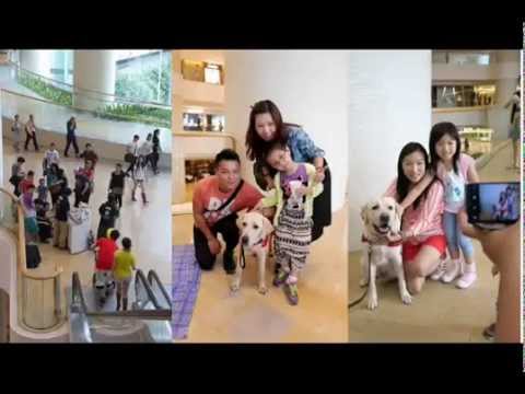 導盲犬Guide Dog慈善籌款活動日 @ 西九龍中心
