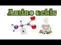 Amino acids  dr sci 