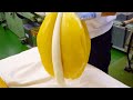 【製造風景】すっぱレモン塩飴の作り方