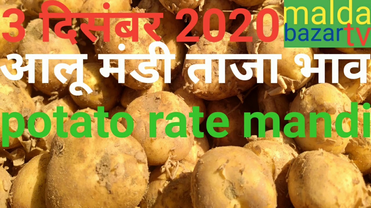 3 दिसंबर 2020 आलू मंडी ताजा भाव potato rate mandi YouTube