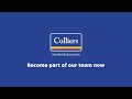 Colliers  project  building consultancy  join our team