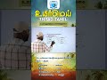 TNPSC தமிழ் வினாக்கள்..? #மயங்கொலிச்சொற்கள் #tnpsctamil #tamil #tnpscstudy