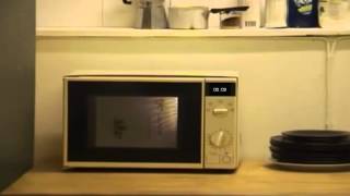 Countdown Vist 284