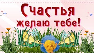 Счастья желаю тебе!