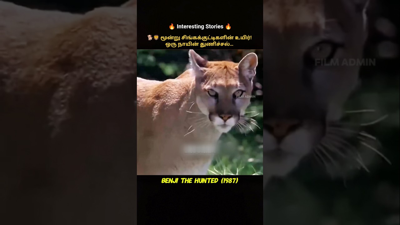 🦁🐕 When a Dog Became a Mother’s Hope 