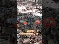 przyroda #natura#las#naturevideo#relax#medytacja#shortsfunny  #nature #shortsviral
