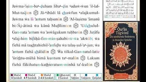 ختمة من مصحف التجويد باللغة الألمانية الصفحة رقم 494