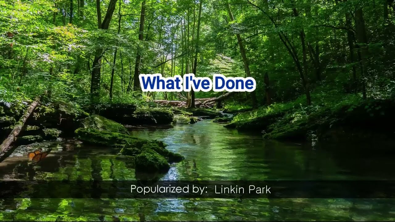 Linkin Park 'What I've Done' 08609