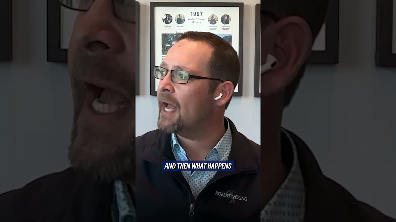 Лесные пожары и как они влияют на производство винограда и вина?