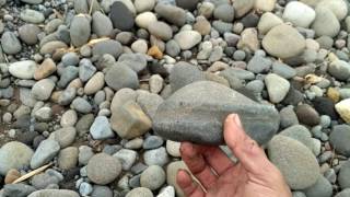 Hunting suiseki di sungai progo hilir