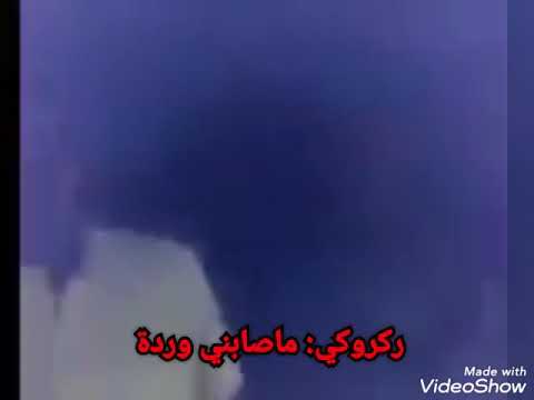 حنافي العبيدي ركروكي ماصابني وردة