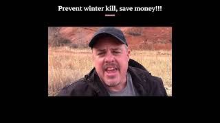 Prevent winterkill, save money...NOW!!!!