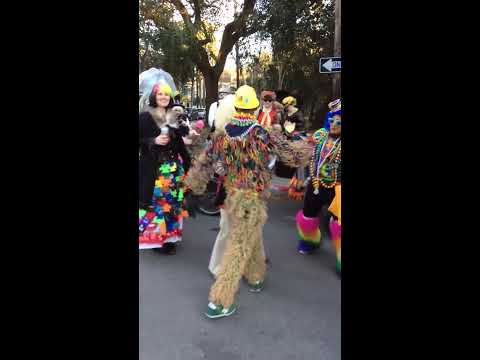 st anne mardi gras parade