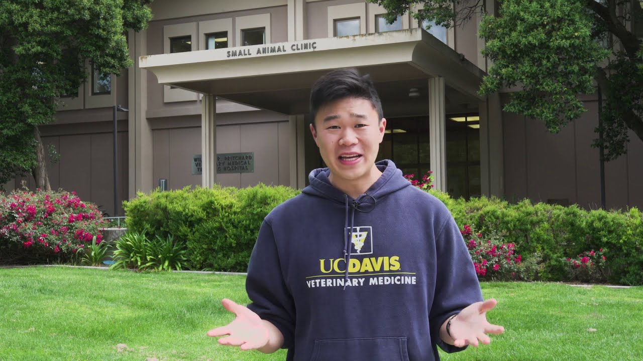 uc-davis-school-of-medicine-uc-davis-clinic