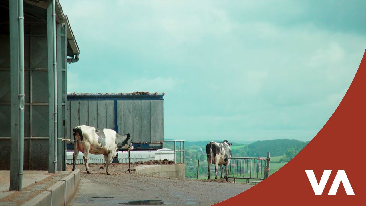 L'unité de biométhanisation de la Roche-Madou