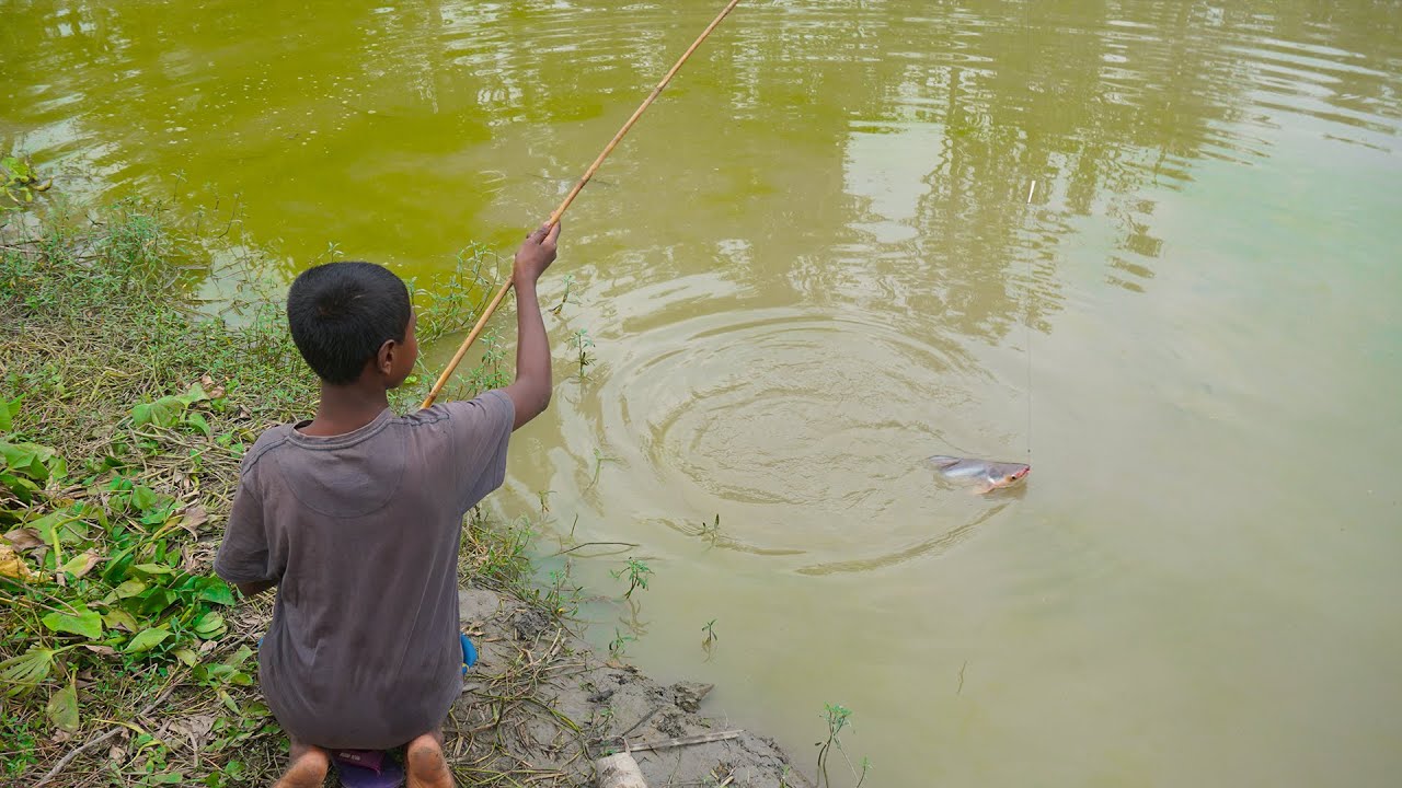 Hook Fishing | Asian Traditional Hook Fishing | Fishing in Village by @ABTVbd