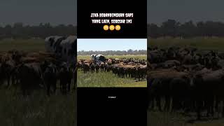 HAL HAL YANG LEBIH BESAR DARI YANG DIBAYANGKAN #shorts