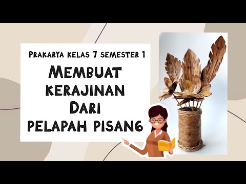 Video: Plepa hiasan di dapur: jenis dan ulasan