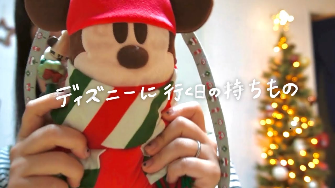 クリスマスディズニーに行く日のバッグの中身👜/ ミニマリスト
