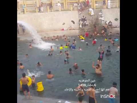 عين الجوهريه الاحساء ذكريات اخو خلدا هههه