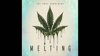 The Soul Gardeners - Melting (Official Audio) screenshot 5