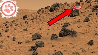 11 Solar System Mysteries That Science Can't Explain